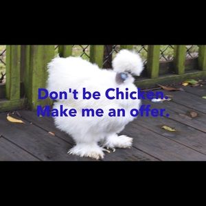 Wanna play Let’s Make a Deal?